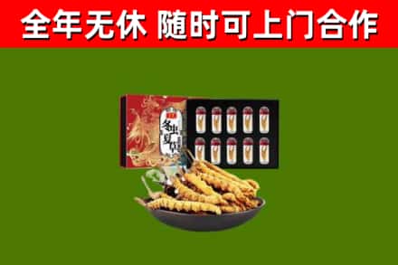 富民县烟酒回收冬虫夏草礼盒.jpg